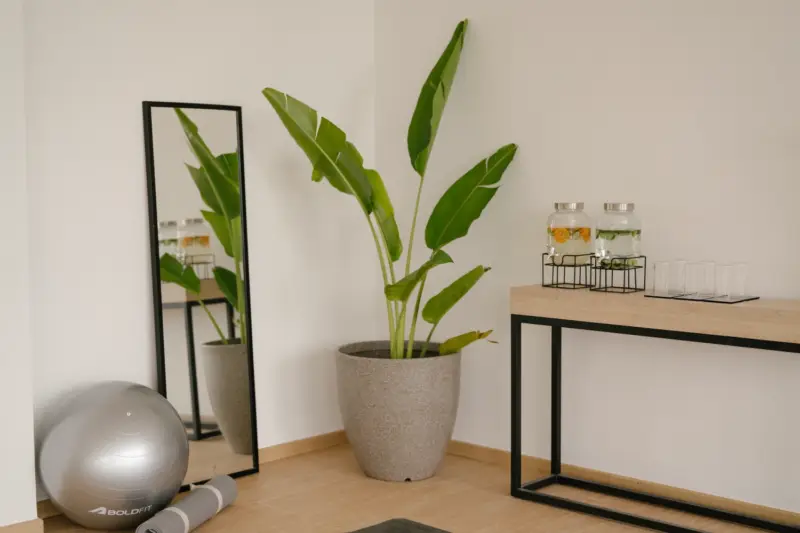 Best Yoga Retreat in Hyderabad